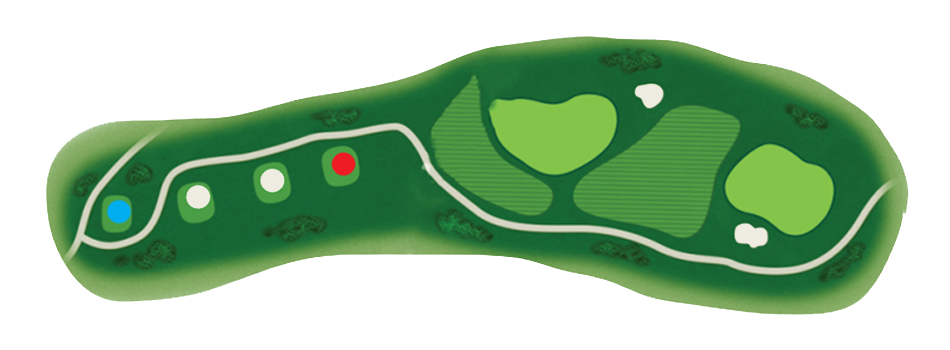 Links 4 Hole
