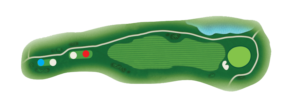 Links 7 Hole