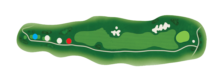 Park 1 Hole